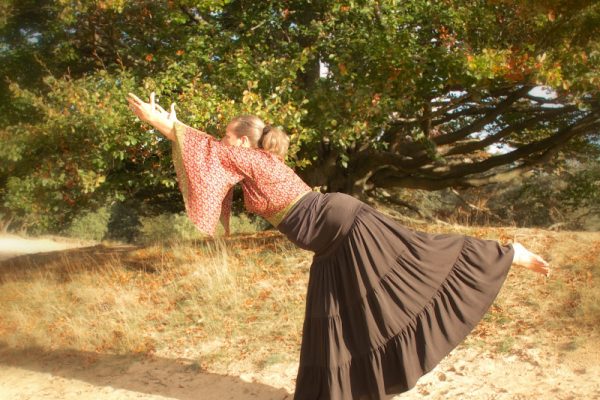 Cranes walk herfst - 3